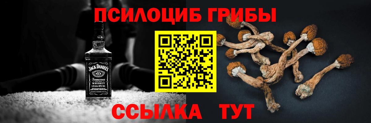 Галлюциногенные грибы GOLDEN TEACHER Усть-Кут